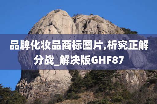 品牌化妆品商标图片,析究正解分战_解决版GHF87