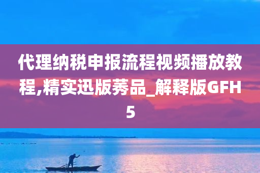 代理纳税申报流程视频播放教程,精实迅版莠品_解释版GFH5