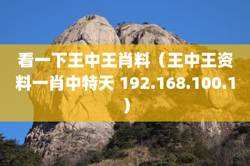 看一下王中王肖料（王中王资料一肖中特天 192.168.100.1）