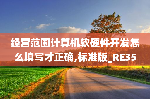 经营范围计算机软硬件开发怎么填写才正确,标准版_RE35