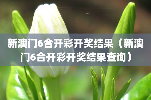 新澳门6合开彩开奖结果（新澳门6合开彩开奖结果查询）