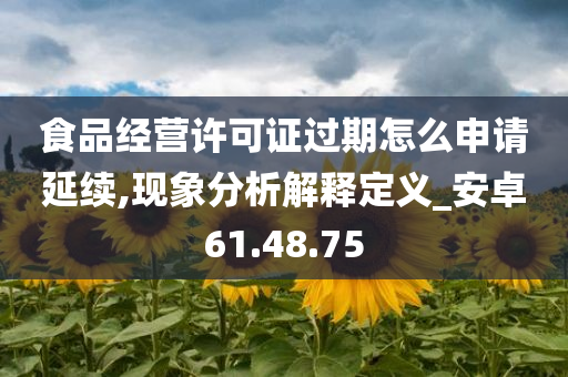 食品经营许可证过期怎么申请延续,现象分析解释定义_安卓61.48.75