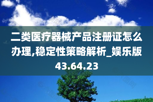 二类医疗器械产品注册证怎么办理,稳定性策略解析_娱乐版43.64.23