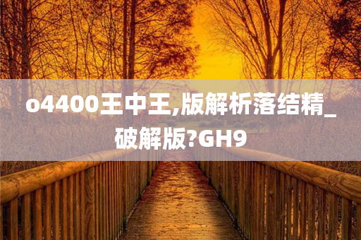 o4400王中王,版解析落结精_破解版?GH9