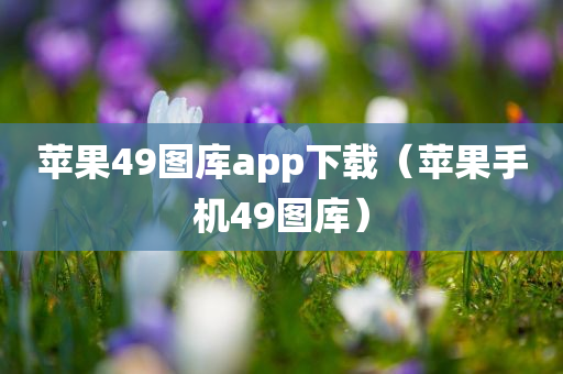 苹果49图库app下载（苹果手机49图库）