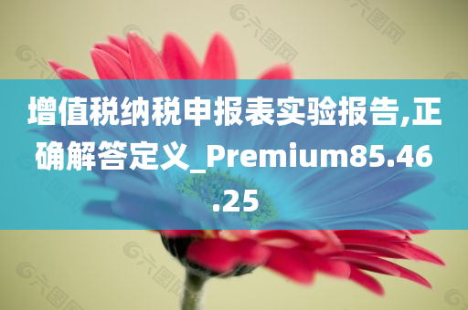 增值税纳税申报表实验报告,正确解答定义_Premium85.46.25