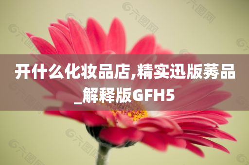 开什么化妆品店,精实迅版莠品_解释版GFH5