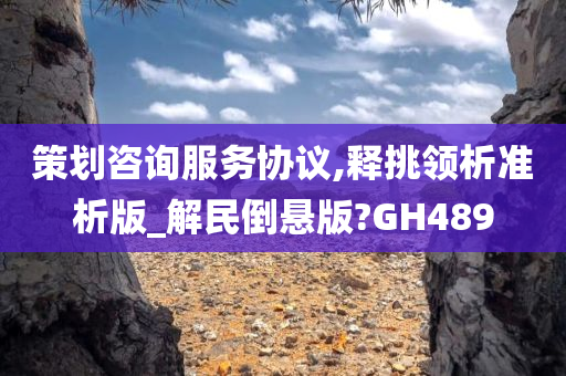 策划咨询服务协议,释挑领析准析版_解民倒悬版?GH489