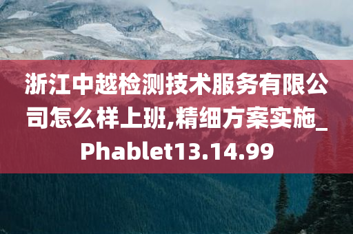 浙江中越检测技术服务有限公司怎么样上班,精细方案实施_Phablet13.14.99