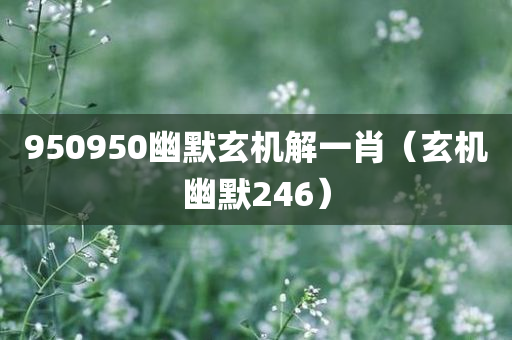 950950幽默玄机解一肖（玄机幽默246）