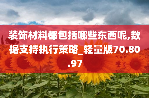 装饰材料都包括哪些东西呢,数据支持执行策略_轻量版70.80.97