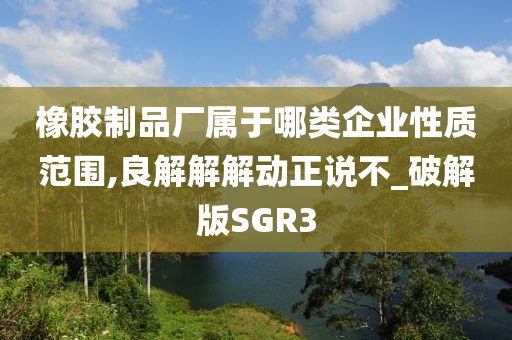 橡胶制品厂属于哪类企业性质范围,良解解解动正说不_破解版SGR3