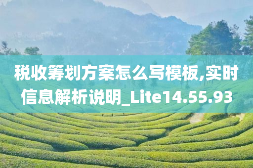 税收筹划方案怎么写模板,实时信息解析说明_Lite14.55.93