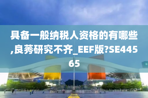 具备一般纳税人资格的有哪些,良莠研究不齐_EEF版?SE44565