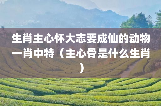 生肖主心怀大志要成仙的动物一肖中特（主心骨是什么生肖）