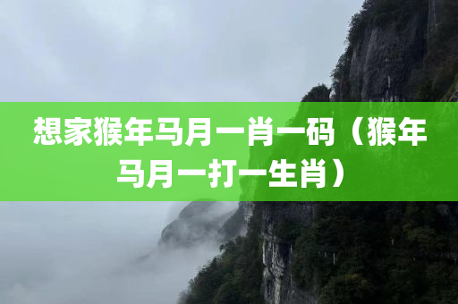 想家猴年马月一肖一码（猴年马月一打一生肖）