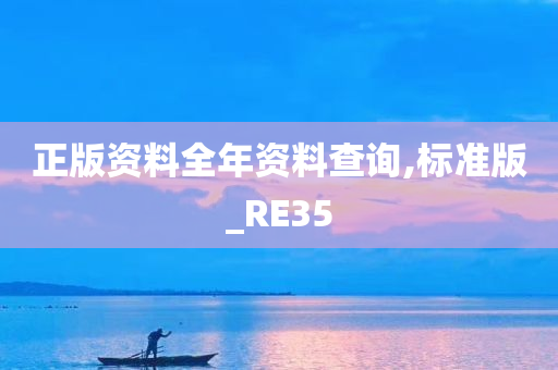 正版资料全年资料查询,标准版_RE35