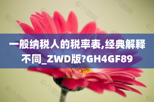 一般纳税人的税率表,经典解释不同_ZWD版?GH4GF89