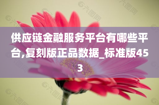 供应链金融服务平台有哪些平台,复刻版正品数据_标准版453