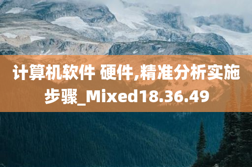 计算机软件 硬件,精准分析实施步骤_Mixed18.36.49