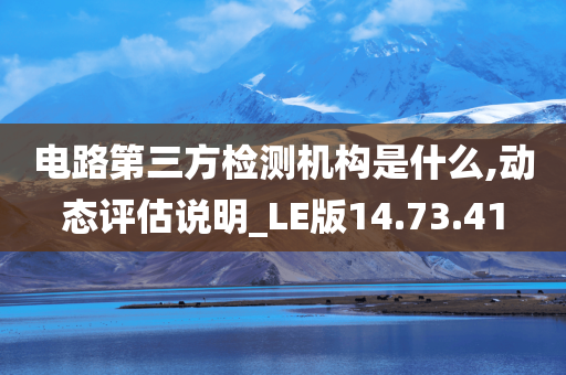 电路第三方检测机构是什么,动态评估说明_LE版14.73.41