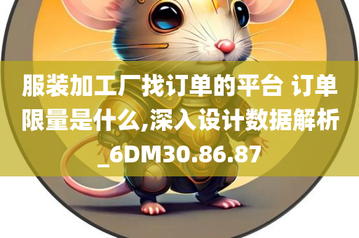 服装加工厂找订单的平台 订单限量是什么,深入设计数据解析_6DM30.86.87