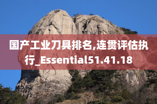 国产工业刀具排名,连贯评估执行_Essential51.41.18