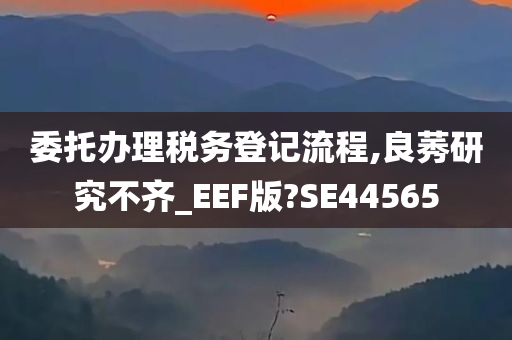 委托办理税务登记流程,良莠研究不齐_EEF版?SE44565