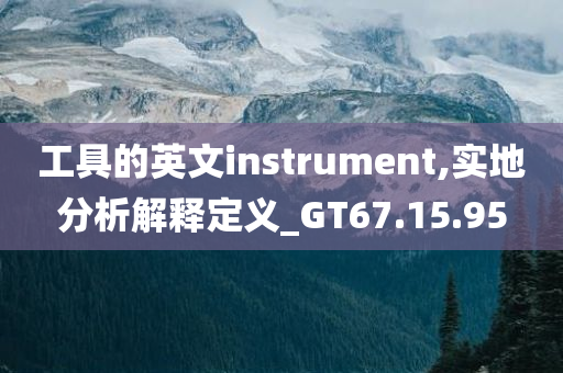 工具的英文instrument,实地分析解释定义_GT67.15.95