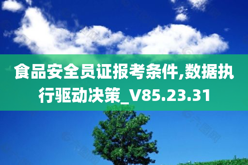 食品安全员证报考条件,数据执行驱动决策_V85.23.31