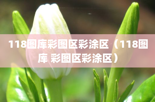 118图库彩图区彩涂区（118图库 彩图区彩涂区）