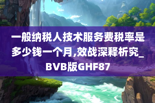 一般纳税人技术服务费税率是多少钱一个月,效战深释析究_BVB版GHF87