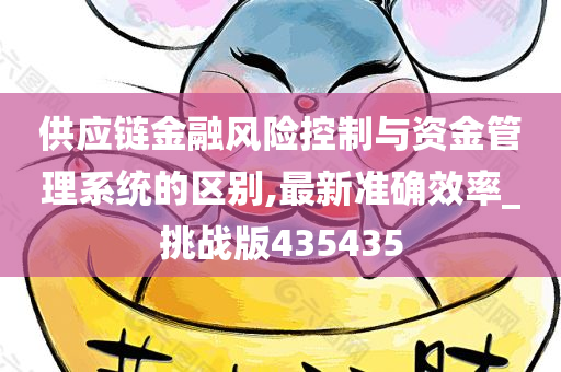 供应链金融风险控制与资金管理系统的区别,最新准确效率_挑战版435435