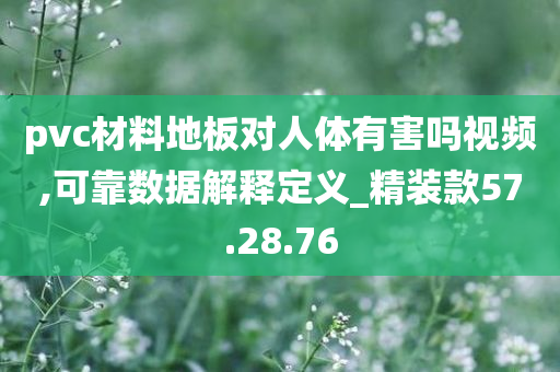 pvc材料地板对人体有害吗视频,可靠数据解释定义_精装款57.28.76