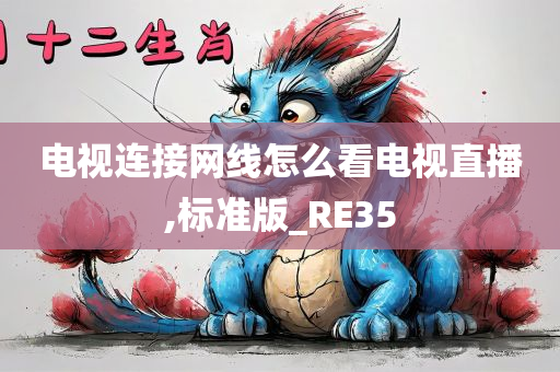 电视连接网线怎么看电视直播,标准版_RE35