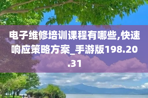 电子维修培训课程有哪些,快速响应策略方案_手游版198.20.31