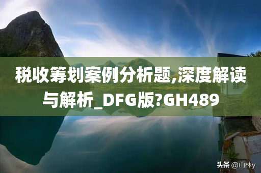 税收筹划案例分析题,深度解读与解析_DFG版?GH489