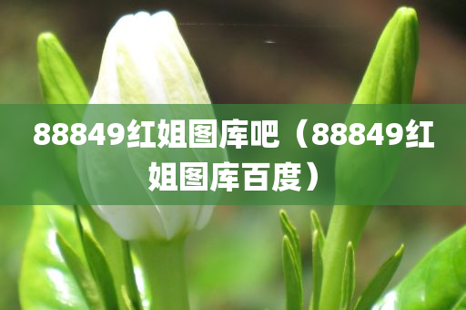 88849红姐图库吧（88849红姐图库百度）