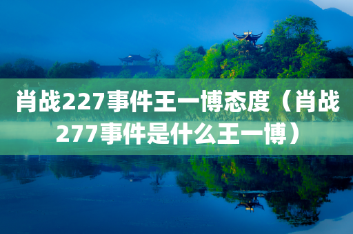 肖战227事件王一博态度（肖战277事件是什么王一博）