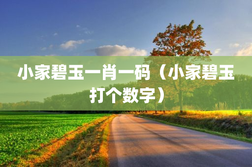 小家碧玉一肖一码（小家碧玉打个数字）