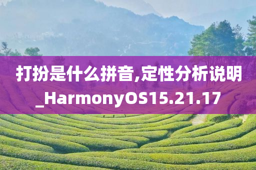 打扮是什么拼音,定性分析说明_HarmonyOS15.21.17