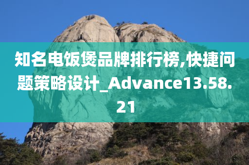 知名电饭煲品牌排行榜,快捷问题策略设计_Advance13.58.21