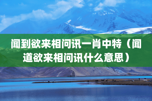 闻到欲来相问讯一肖中特（闻道欲来相问讯什么意思）