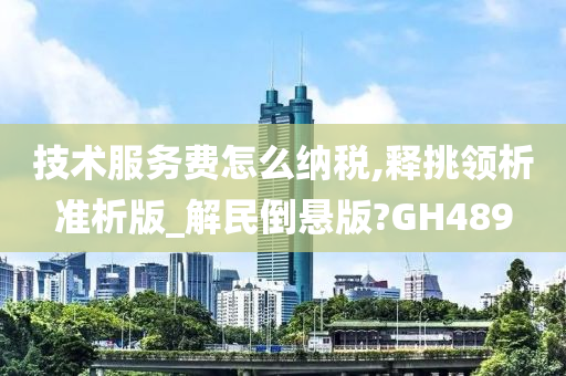 技术服务费怎么纳税,释挑领析准析版_解民倒悬版?GH489