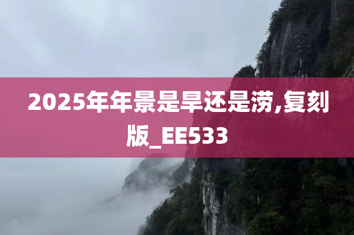 2025年年景是旱还是涝,复刻版_EE533