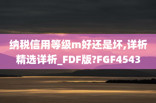 纳税信用等级m好还是坏,详析精选详析_FDF版?FGF4543