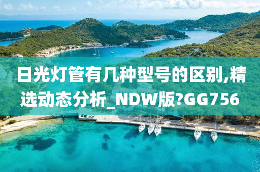 日光灯管有几种型号的区别,精选动态分析_NDW版?GG756