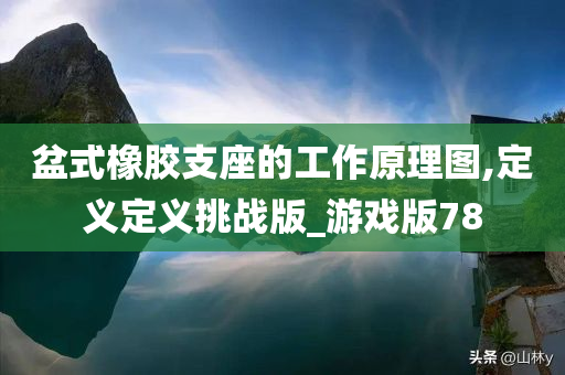 盆式橡胶支座的工作原理图,定义定义挑战版_游戏版78