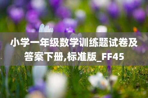 小学一年级数学训练题试卷及答案下册,标准版_FF45