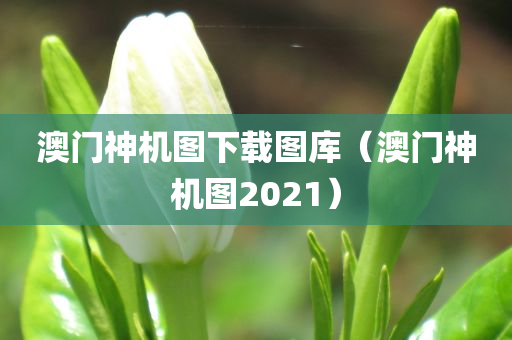 澳门神机图下载图库（澳门神机图2021）